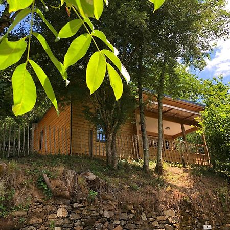 Camping Moulin De Chaules Saint-Constant Bagian luar foto